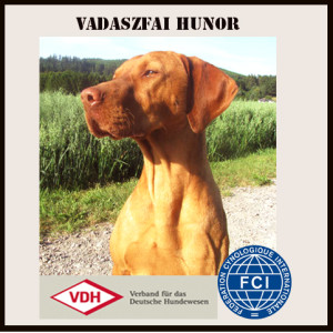 Vater