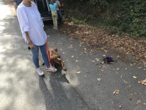 IMG 1723