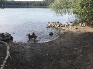 IMG 3692